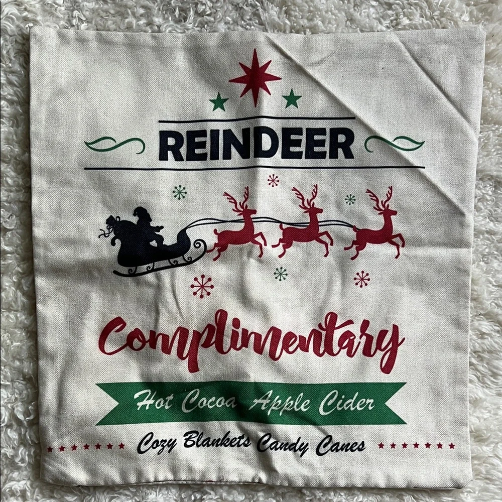 Used Once - Christmas Holiday Decorative Pillow Covers Set 17x17
